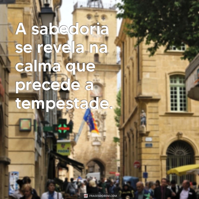 frases de sabedoria e paciência A sabedoria se revela na calma que precede a tempestade.