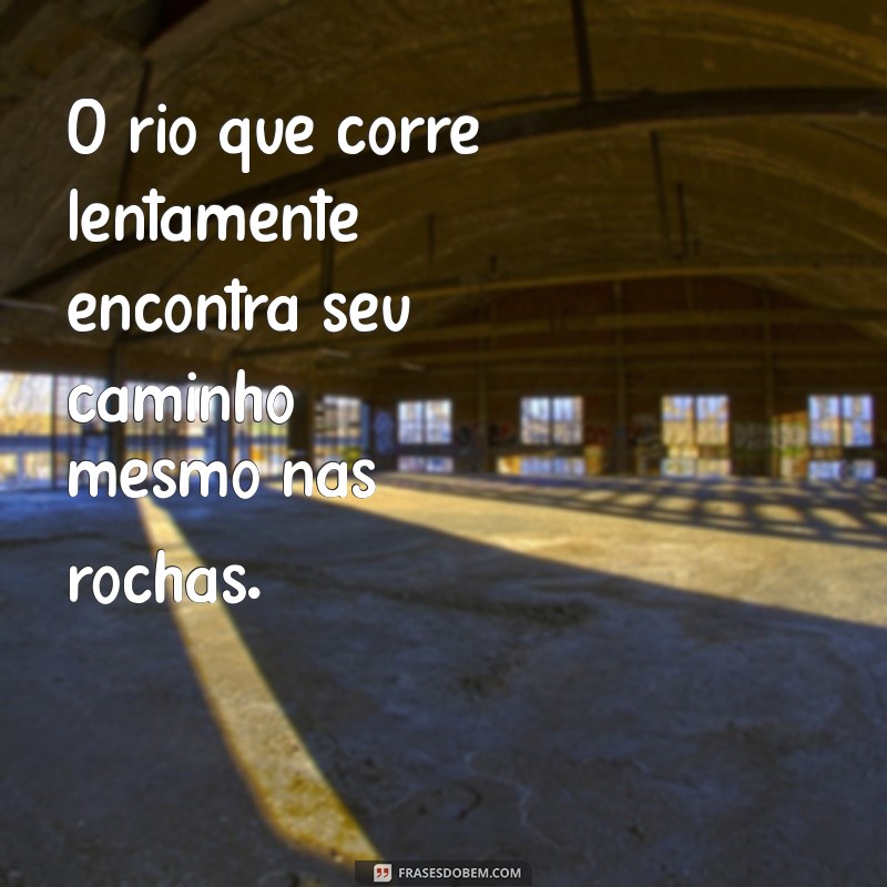 Frases Inspiradoras de Sabedoria e Paciência para Refletir e Crescer 