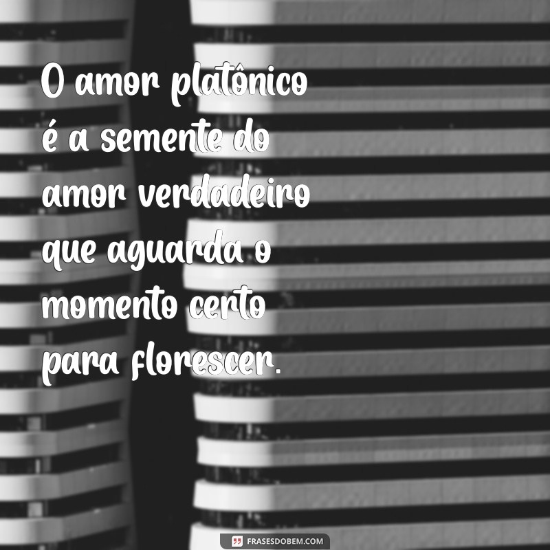 amor platônico pode se tornar real O amor platônico é a semente do amor verdadeiro que aguarda o momento certo para florescer.