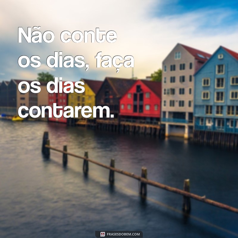 As Melhores Frases Bonitas para WhatsApp: Encante Seus Contatos! 