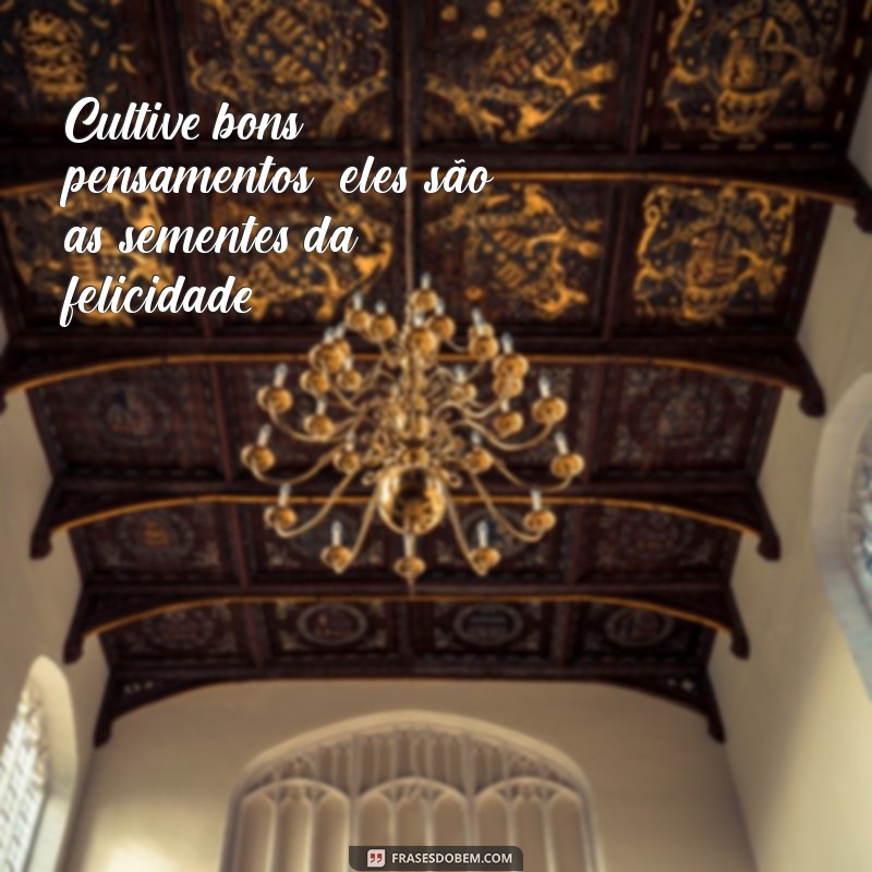 Frases Inspiradoras para Transformar seu Dia a Dia 