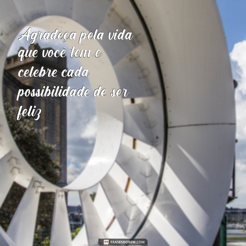 Celebre a Vida: Frases Inspiradoras para Valorizar Cada Momento 