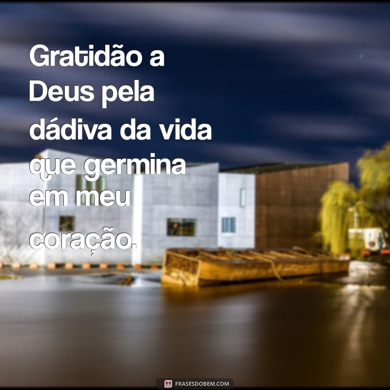 gratidão a deus por gerar uma vida Gratidão a Deus pela dádiva da vida que germina em meu coração.