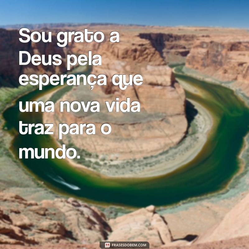 Gratidão a Deus: Celebrando o Milagre da Vida 