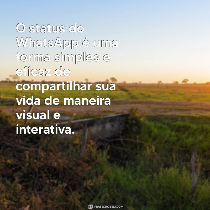 Entenda o que é o Status do WhatsApp e como usá-lo para se comunicar melhor 