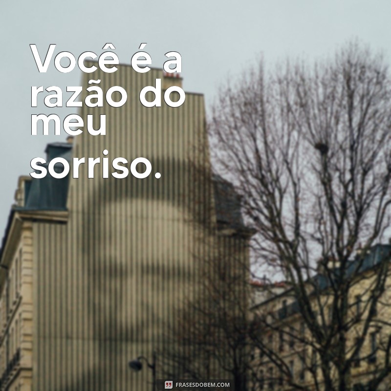 Frases Curtas de Te Amo: Declare Seu Amor com Simplicidade 