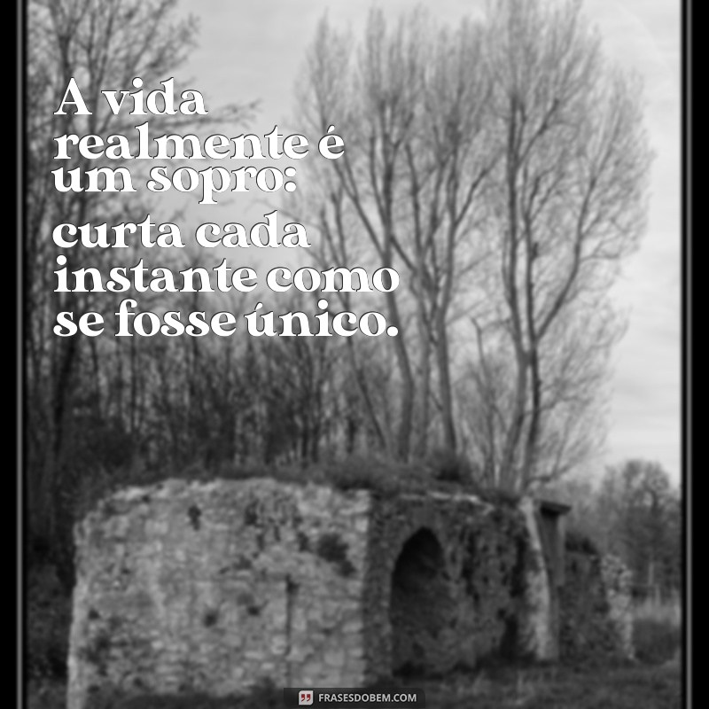 a vida realmente é um sopro A vida realmente é um sopro: curta cada instante como se fosse único.