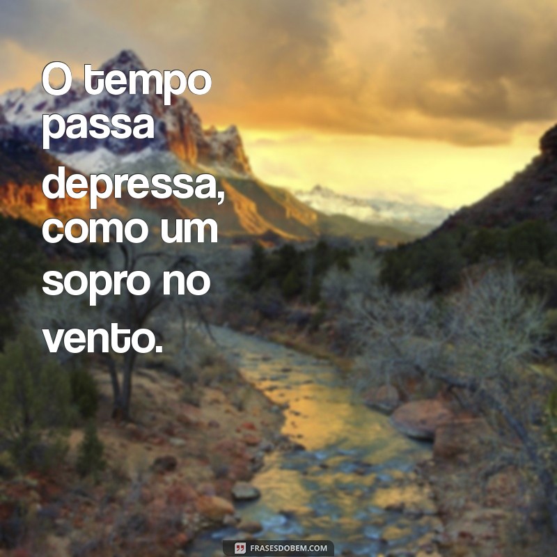 o tempo passa depressa frases O tempo passa depressa, como um sopro no vento.