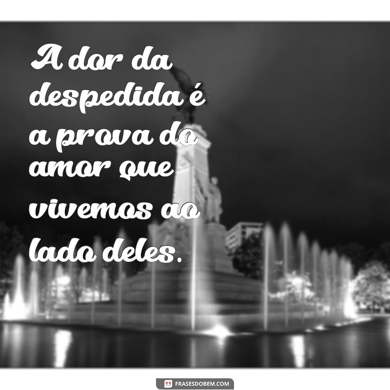 Como Lidar com a Perda de um Cachorro: Dicas para Superar a Dor 