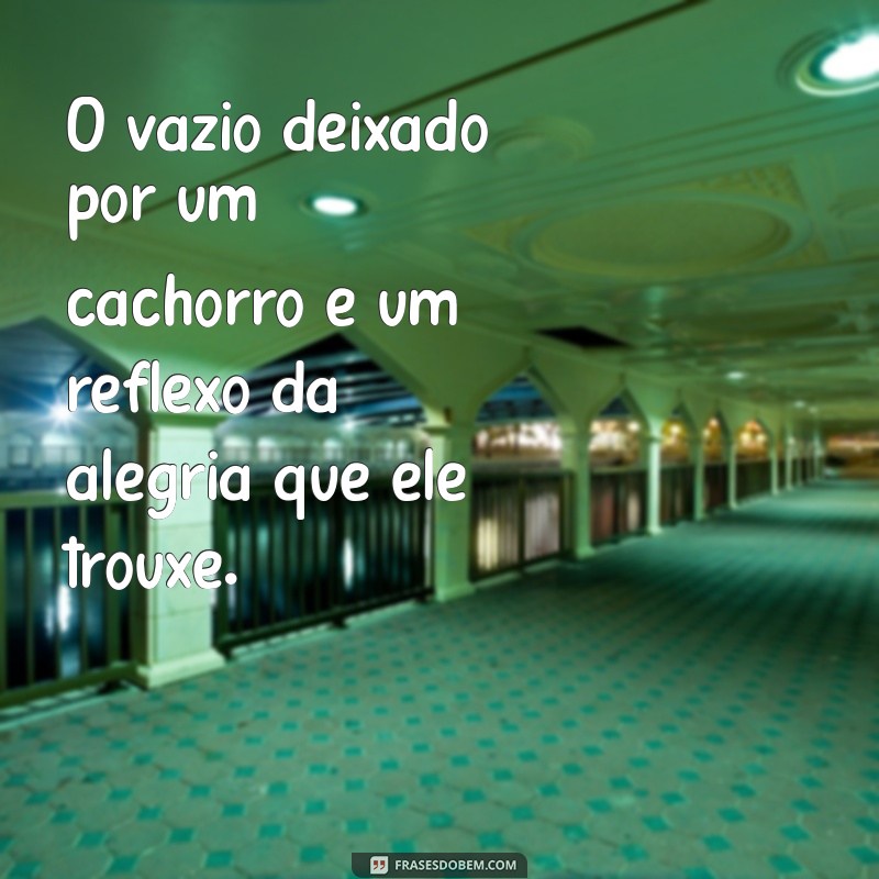 Como Lidar com a Perda de um Cachorro: Dicas para Superar a Dor 