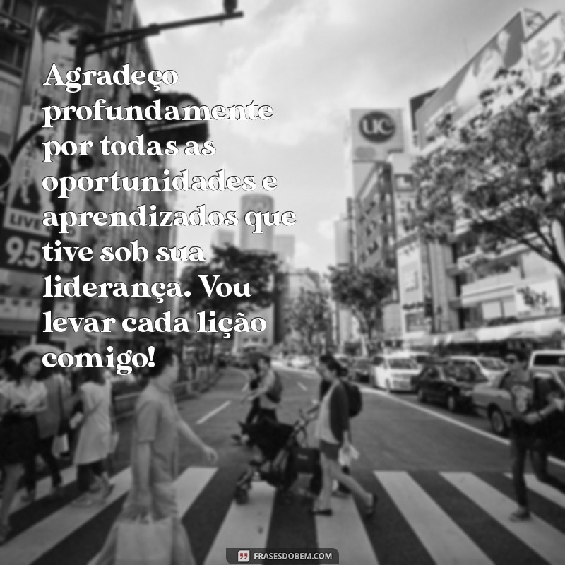 mensagem de agradecimento a chefe despedida Agradeço profundamente por todas as oportunidades e aprendizados que tive sob sua liderança. Vou levar cada lição comigo!