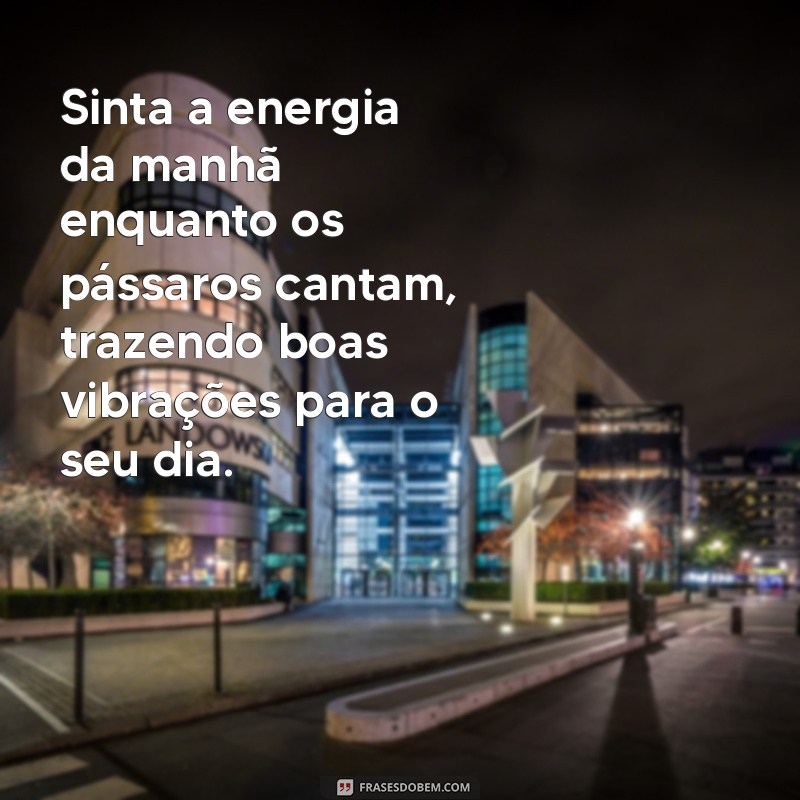 Desperte com Alegria: Mensagens de Bom Dia Acompanhadas pelo Canto dos Pássaros 