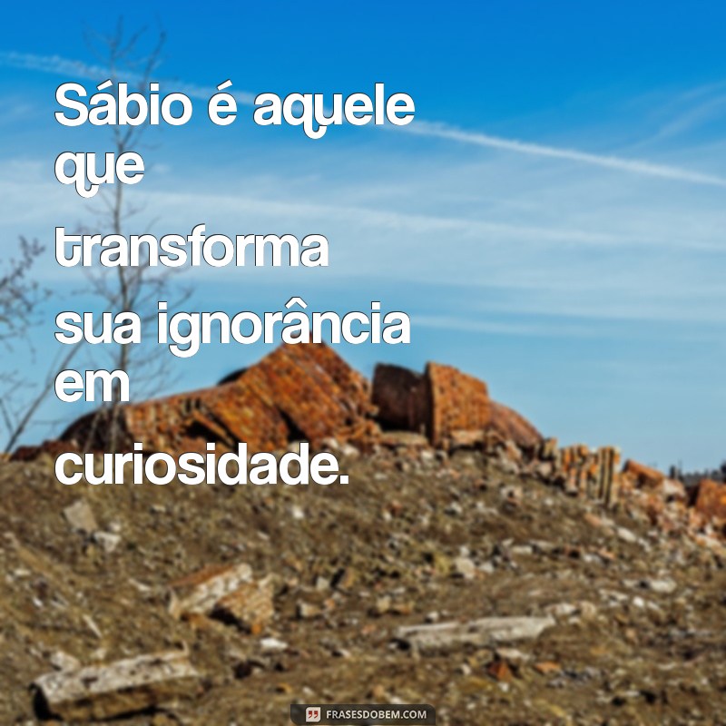 Descubra a Sabedoria: Conhecendo os Limites da Própria Ignorância 