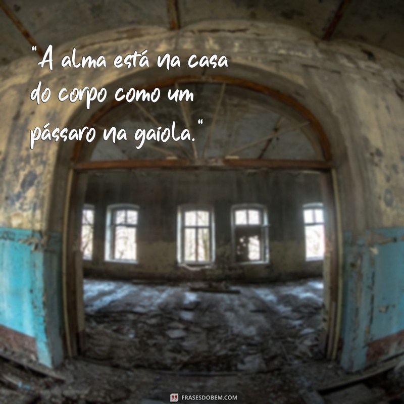 edgar allan poe frases 