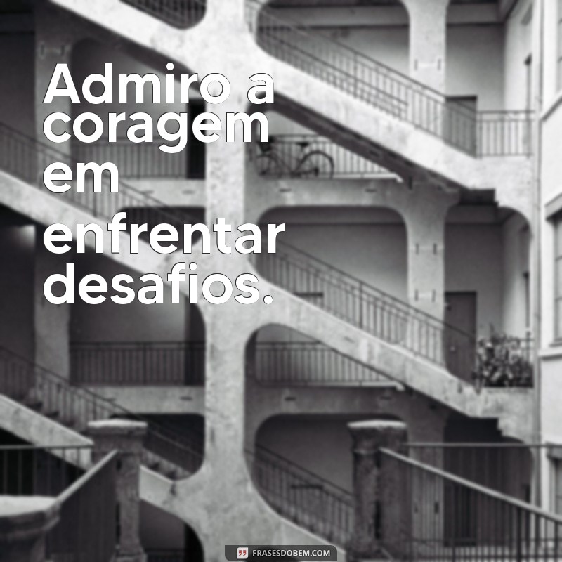 admiro significado Admiro a coragem em enfrentar desafios.