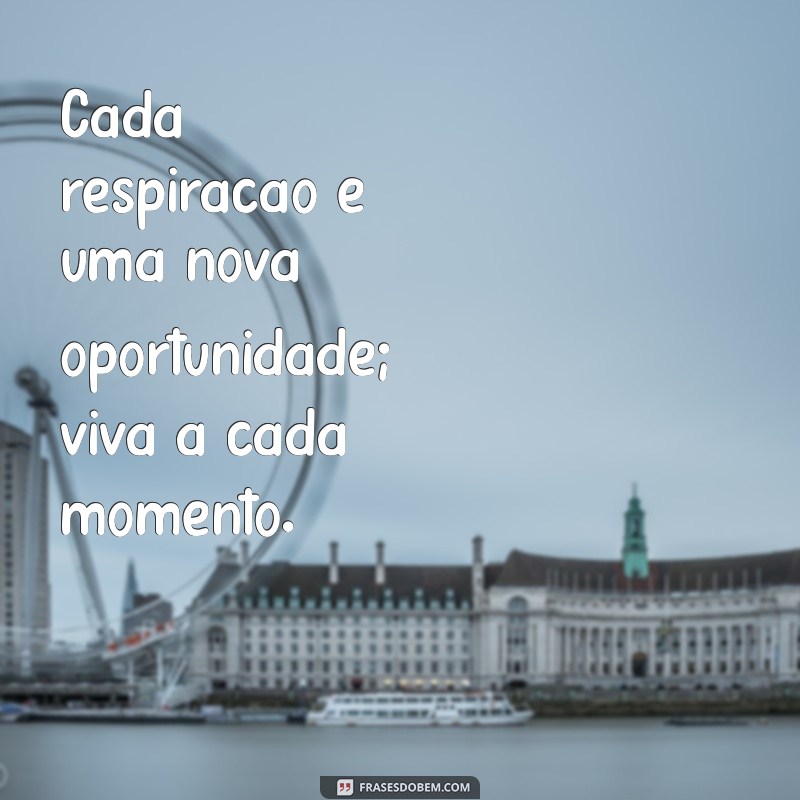 Viva a Cada Momento: Dicas para Aproveitar a Vida ao Máximo 