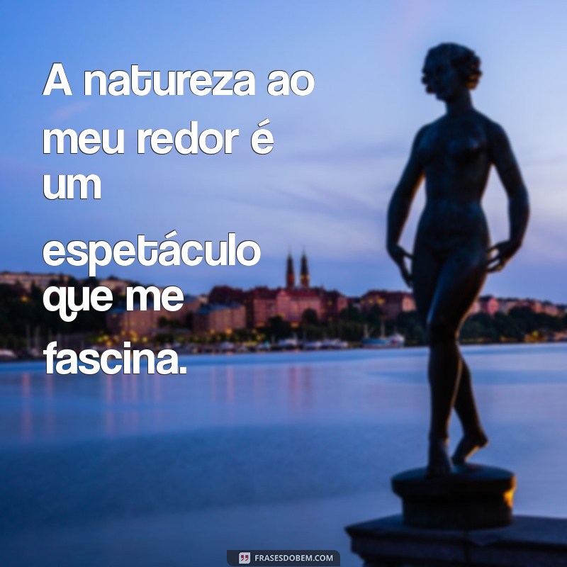 Como a Gratidão Pode Transformar Sua Vida: Nada a Reclamar, Só Agradecer 