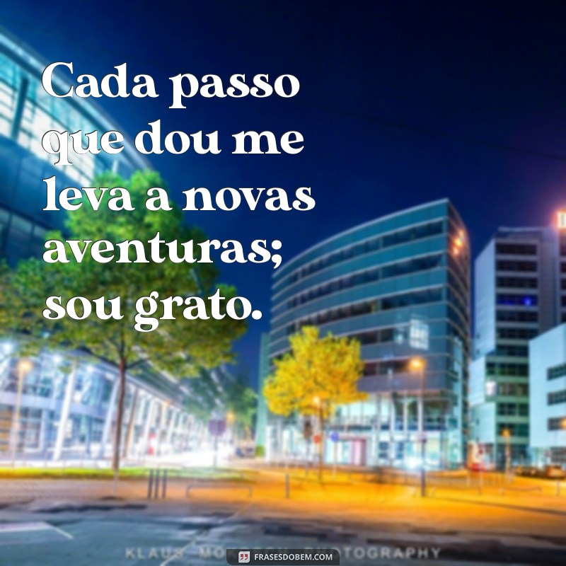 Como a Gratidão Pode Transformar Sua Vida: Nada a Reclamar, Só Agradecer 