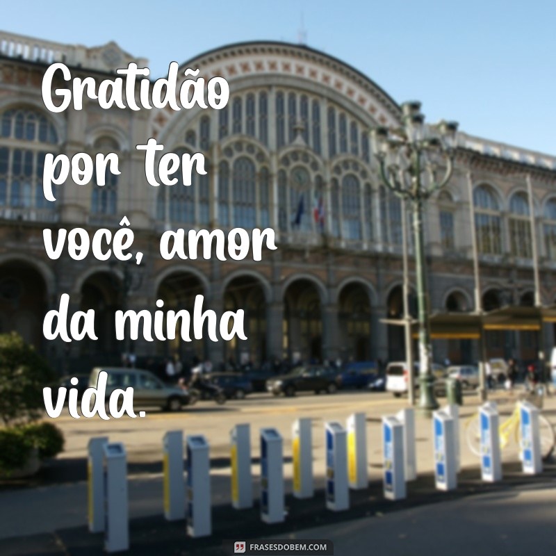 gratidão por ter você amor Gratidão por ter você, amor da minha vida.