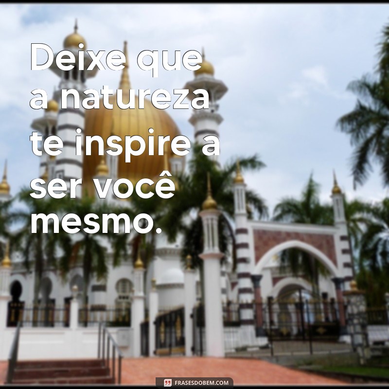 Frases Inspiradoras sobre a Natureza para Transformar seu Status 