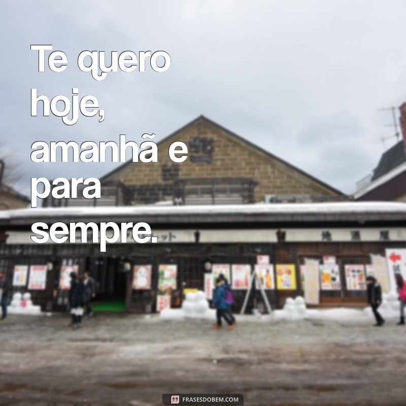 frases de te quero Te quero hoje, amanhã e para sempre.