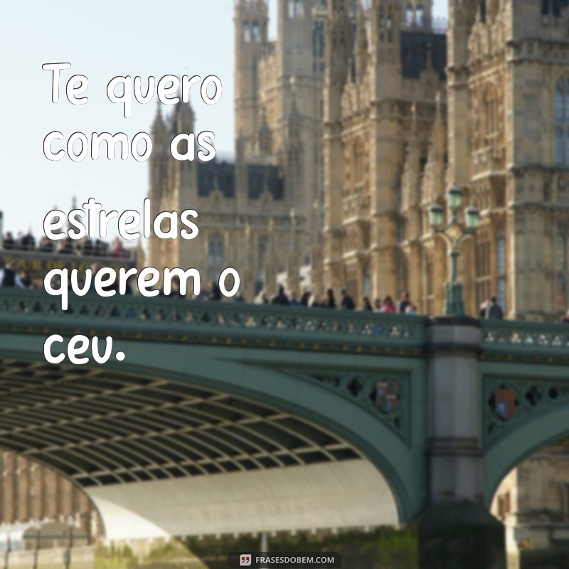 As Melhores Frases de Te Quero para Expressar Seus Sentimentos 