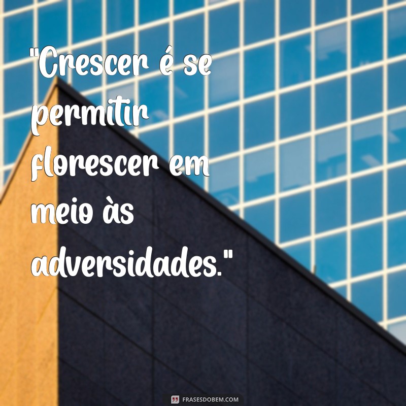 frases para crescimento 