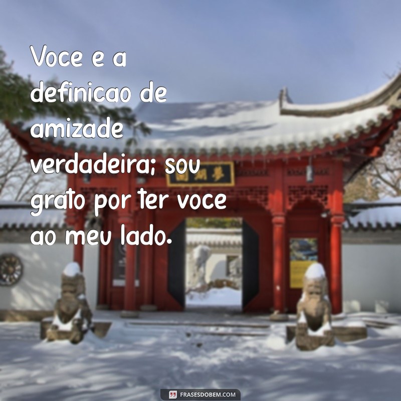 elogio para amigo Você é a definição de amizade verdadeira; sou grato por ter você ao meu lado.