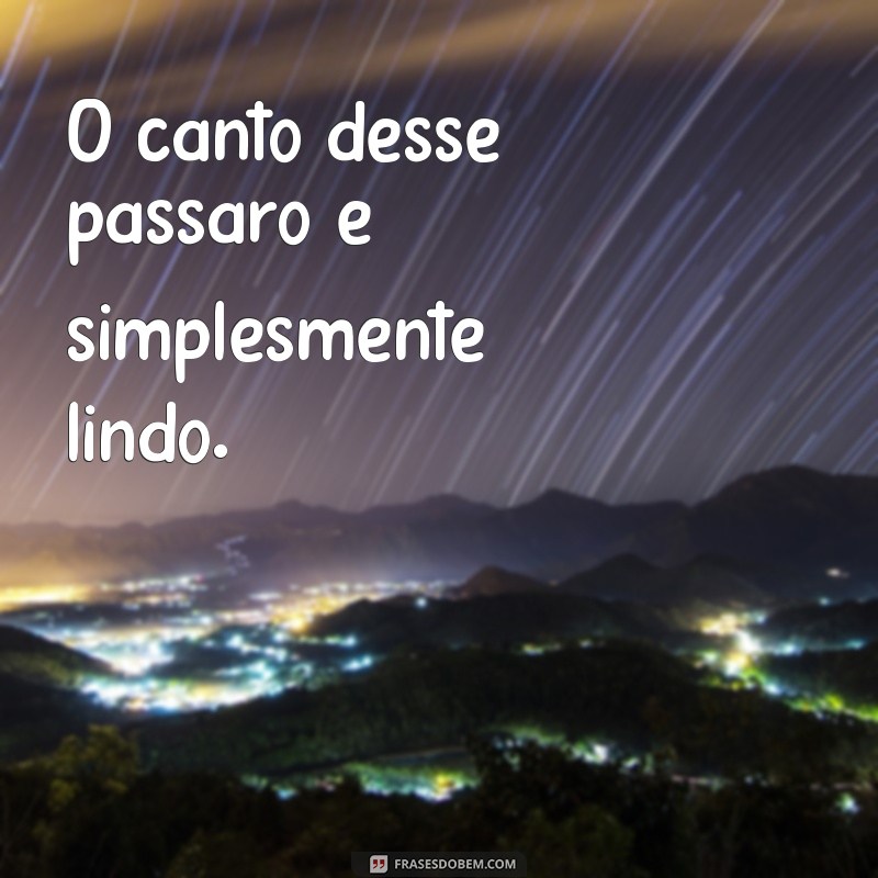 frases canto lindo O canto desse pássaro é simplesmente lindo.