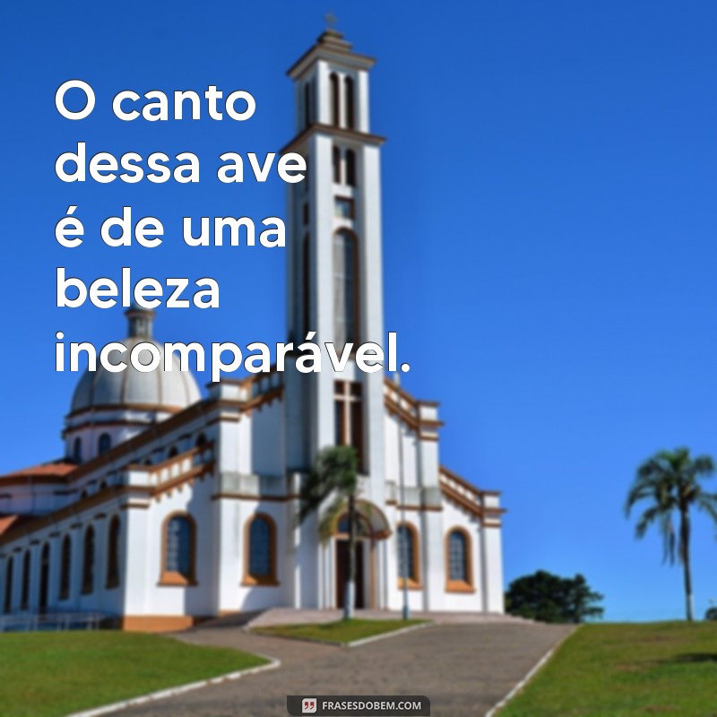 Descubra as melhores frases para encantar com seu canto 