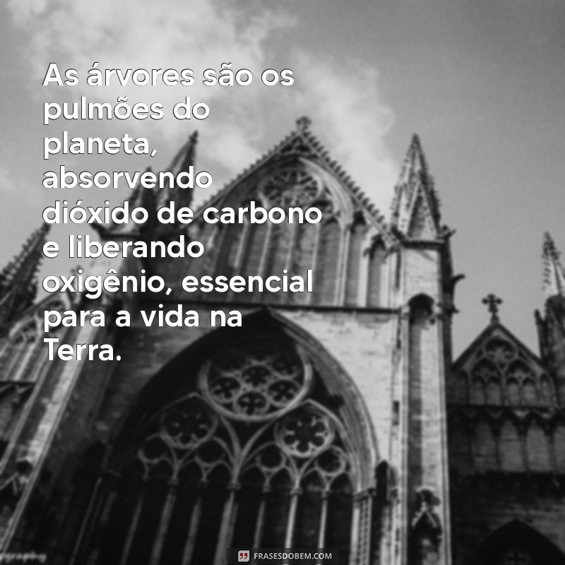 texto sobre a importância das árvores As árvores são os pulmões do planeta, absorvendo dióxido de carbono e liberando oxigênio, essencial para a vida na Terra.