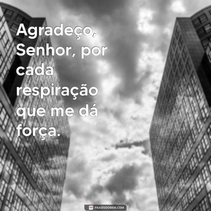 Gratidão Diária: Agradecendo a Deus por Mais um Dia de Vida 