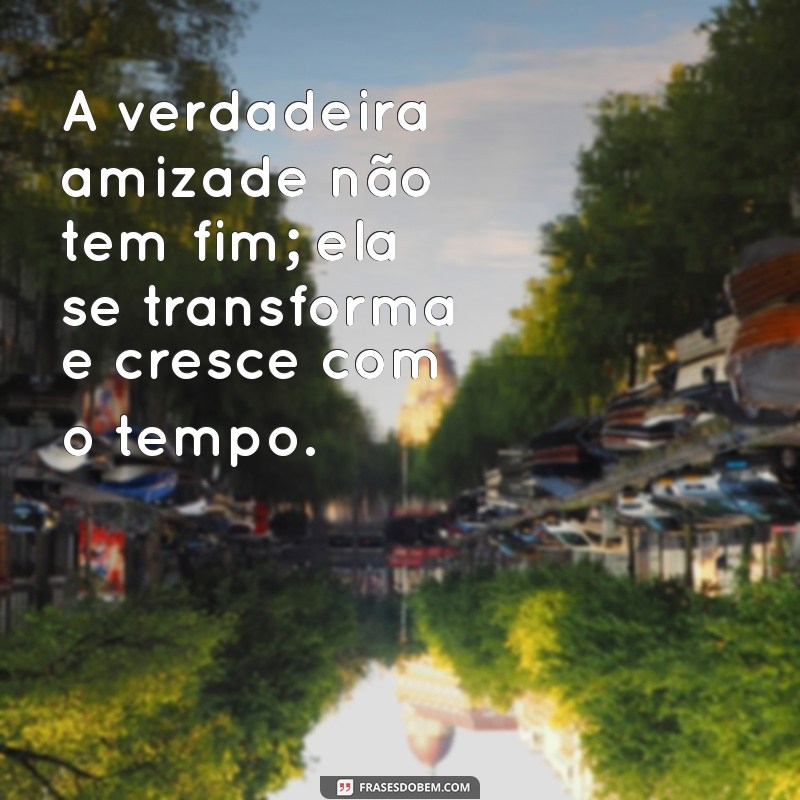 mensagem amizade verdadeira A verdadeira amizade não tem fim; ela se transforma e cresce com o tempo.