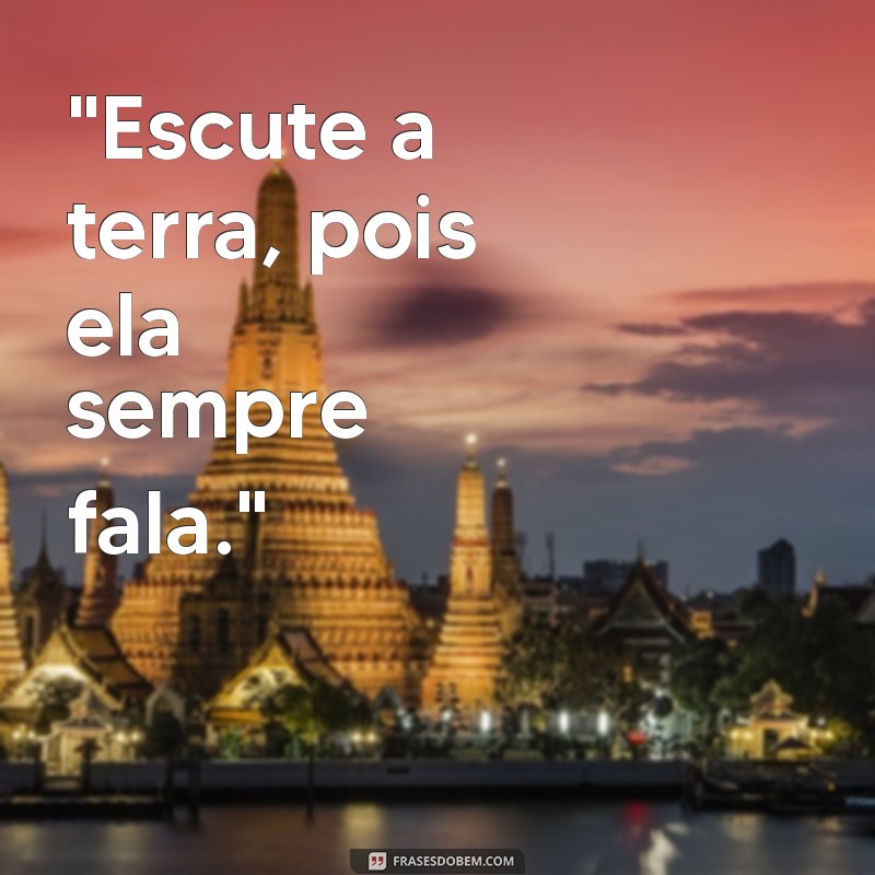 frases indígenas de sabedoria 