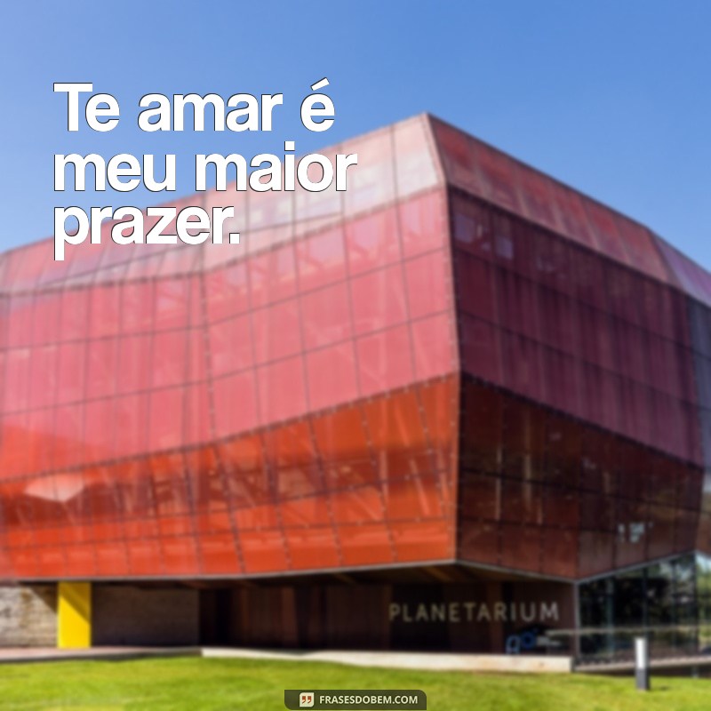 Frases Curtas de Namoro: Declare Seu Amor em Poucas Palavras 