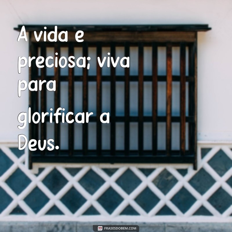 Frases Curtas Cristãs para Inspirar sua Fé Diariamente 