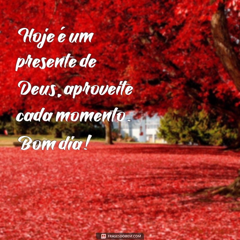 Como Ter um Bom Dia na Presença de Deus: Dicas e Inspirações 