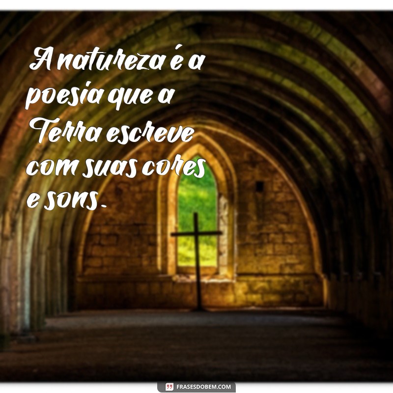 Frases Inspiradoras, Mensagens Impactantes e Poesias que Tocam o Coração 