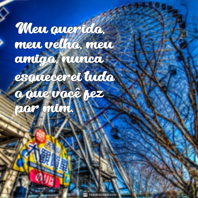 frases meu querido meu velho meu amigo Meu querido, meu velho, meu amigo, nunca esquecerei tudo o que você fez por mim.