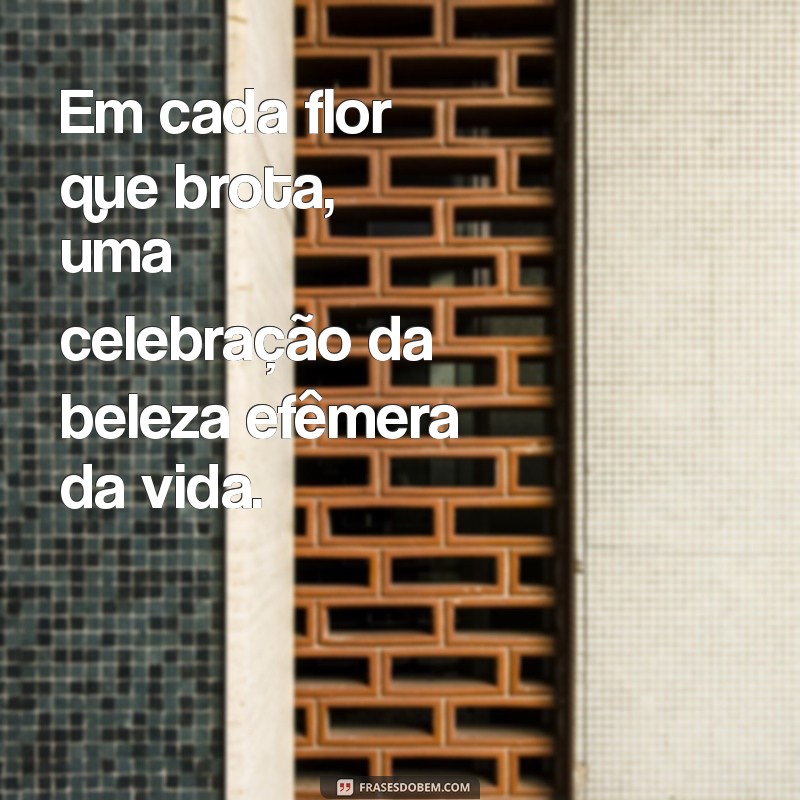 Descubra 30 Frases Inspiradoras sobre Lugares Lindos para Compartilhar 