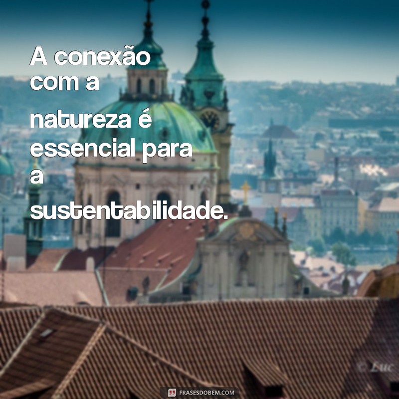 Frases Inspiradoras sobre Sustentabilidade para um Futuro Verde 