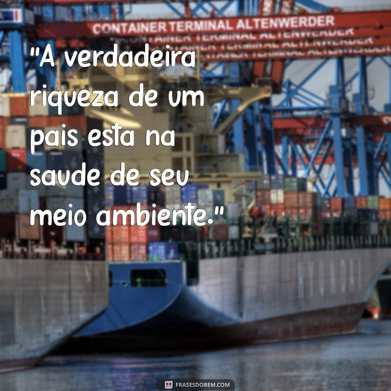 frases com sustentabilidade 