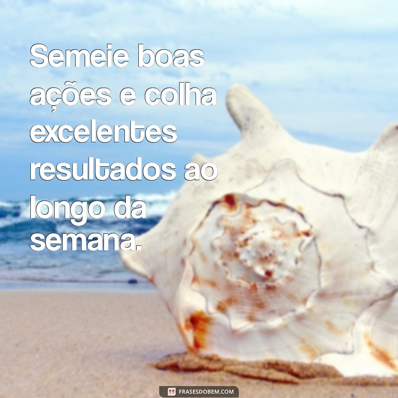 220 Frases Inspiradoras para Começar a Semana com Motivação 