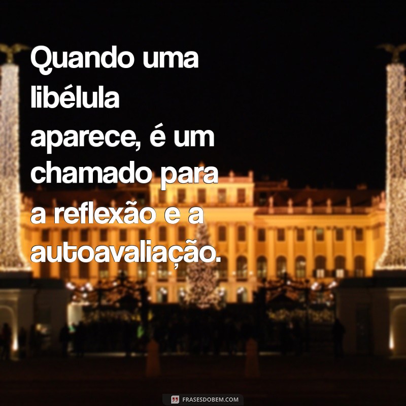 Significado e Simbolismo: O Que Significa Quando uma Libélula Aparece? 