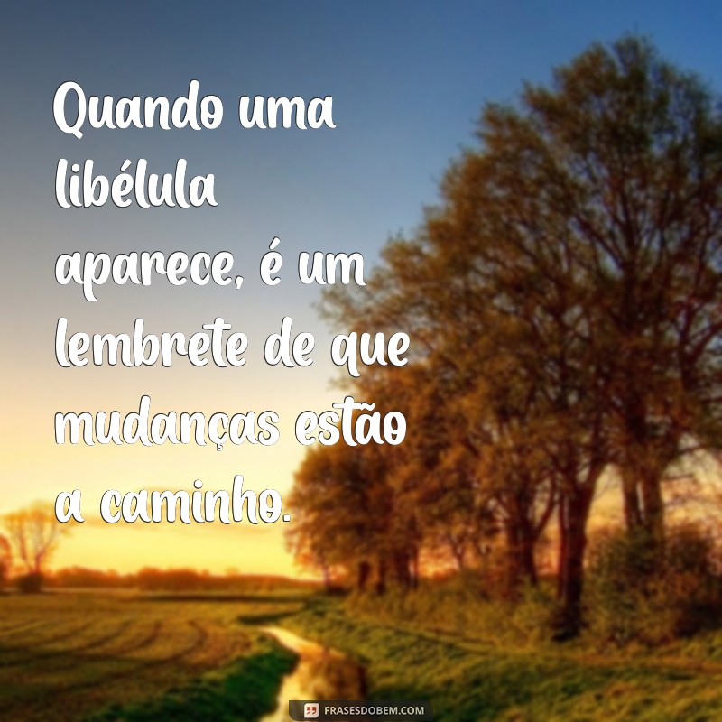 quando uma libélula aparece Quando uma libélula aparece, é um lembrete de que mudanças estão a caminho.