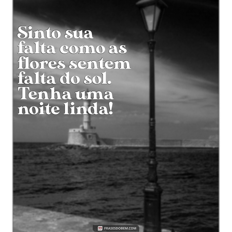 Frases Românticas de Boa Noite para Casais à Distância 