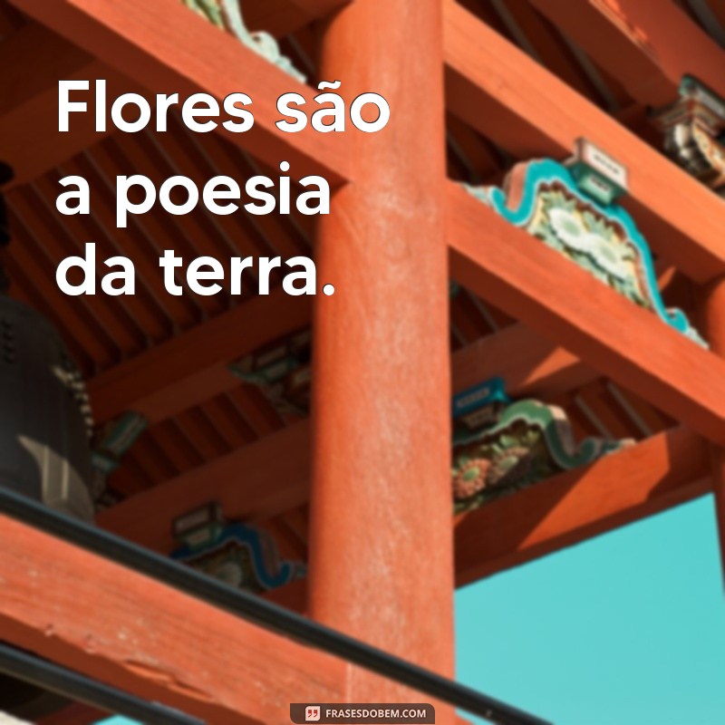 As Melhores Flores para Fotos Incríveis: Dicas e Inspirações 