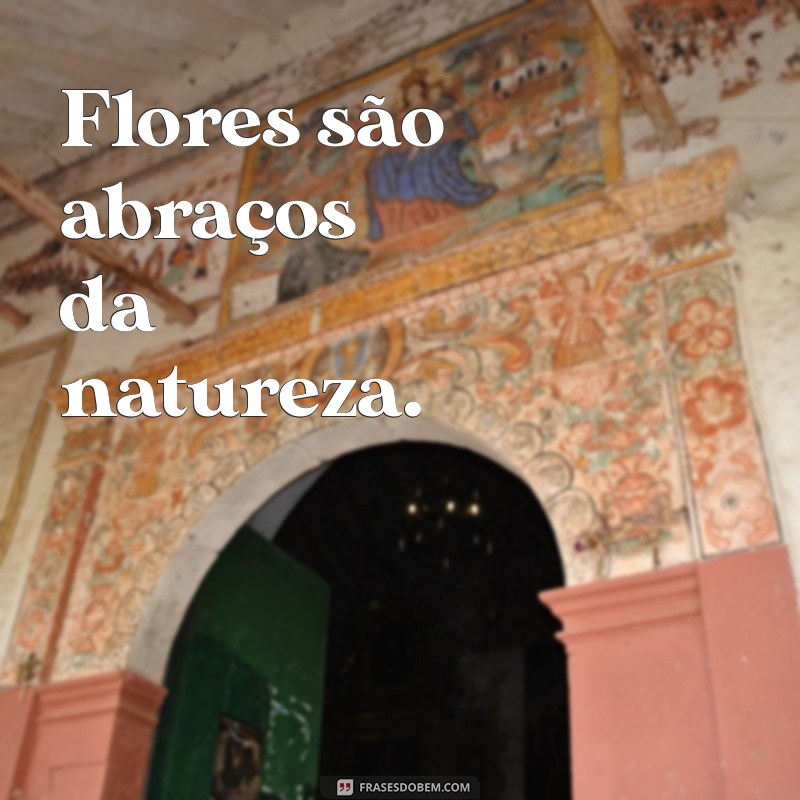 As Melhores Flores para Fotos Incríveis: Dicas e Inspirações 