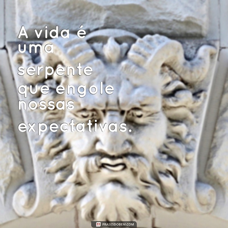 piton come gente A vida é uma serpente que engole nossas expectativas.