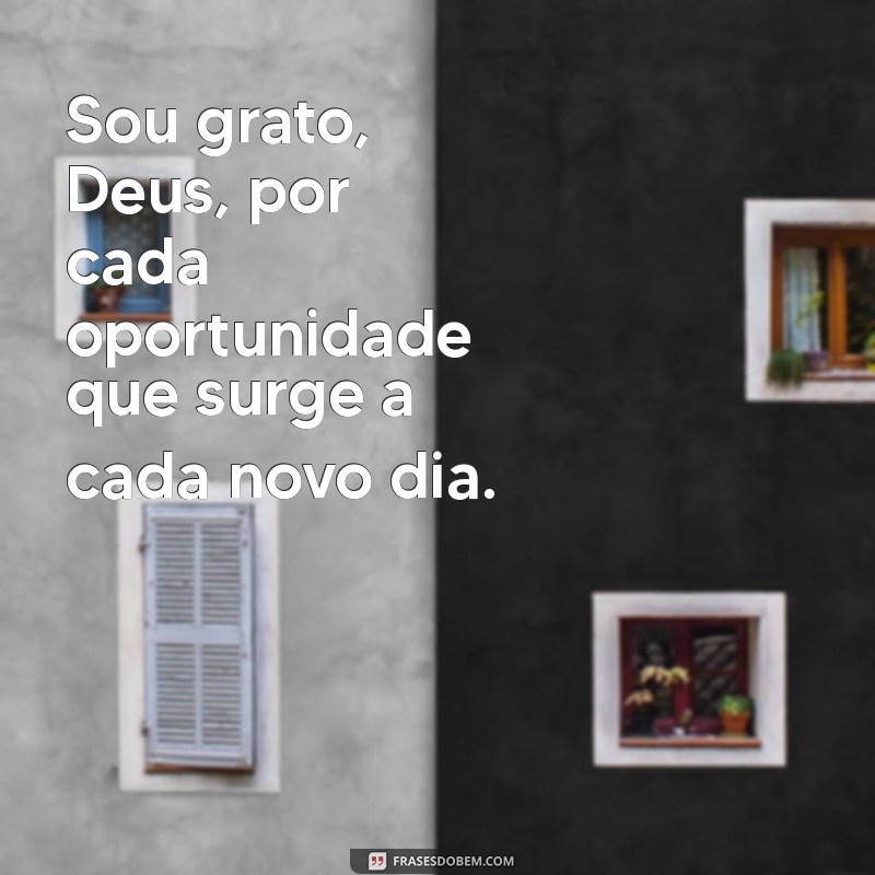 Gratidão Diária: Como Agradecer a Deus por Cada Novo Dia 